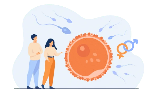 infertilite de couple