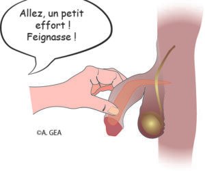 Approches Naturelles pour Traiter les Troubles Érectiles