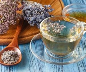 Remèdes Naturels : Quelques Plantes Efficaces contre les Fibromes Utérins