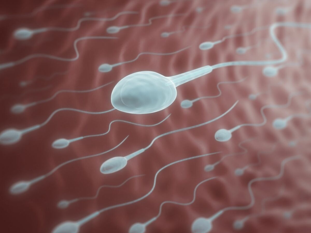 Voici une Recette de Grand-mère pour améliorer naturellement la qualité du sperme