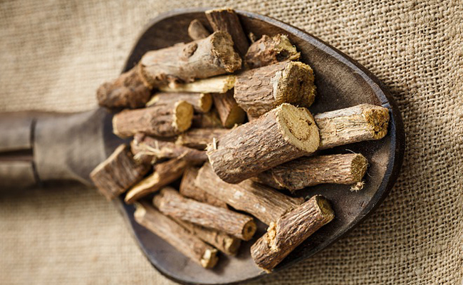 Plantes Efficaces contre les Fibromes Utérins